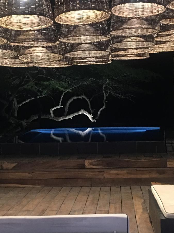 99 Surf Lodge เอลลิมอน ภายนอก รูปภาพ